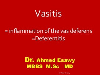 Best All Natural Male Enhancement And Gain Stamina