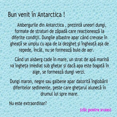 Imagini deosebite din Antarctica