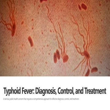 Typhoid and its causes, epidemiology and spread | PPTX
