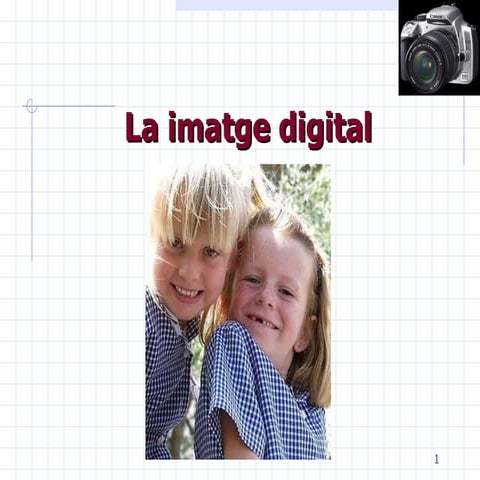 Imatge Fixa Digital