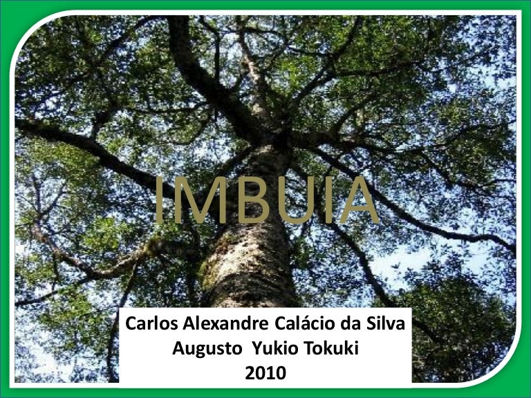Imbuia