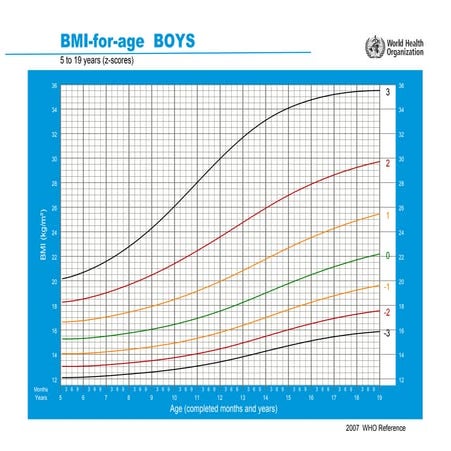 Imc para edad boys z 5_19years