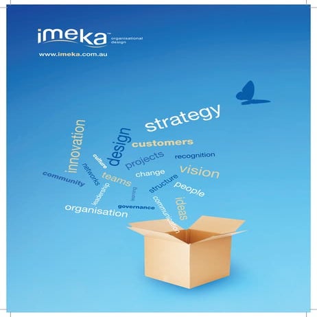 Imeka Organizational Design