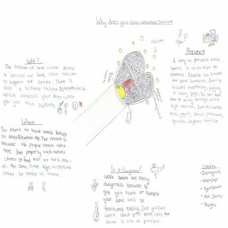 Img 606103206-0001 2