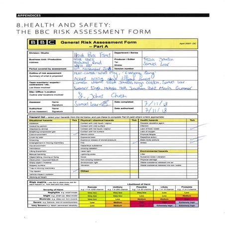 Radio Risk Assesment | PDF