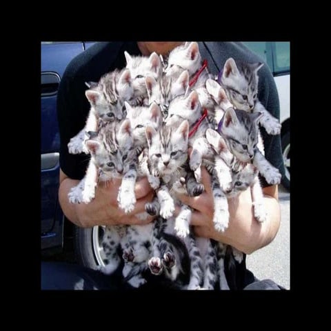 Imágenes asombrosas