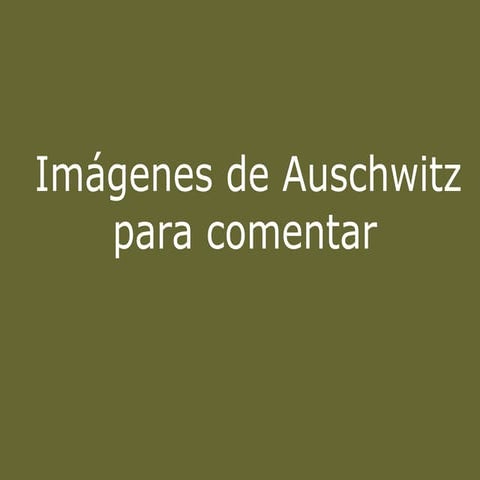Imágenes de Auschwitz para comentar