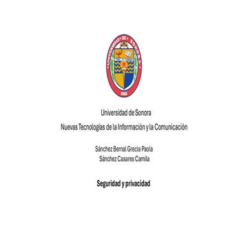 La seguridad y privacidad en el internet