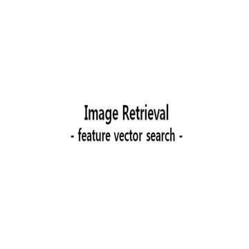 Image Retrieval | PDF