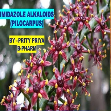 Imidazole alkaloids (pilocarpus).pptx by pritypriya