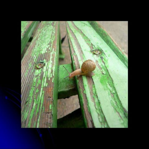 Çoğu zaman imkansız denememiş olduğunuz şeydir!