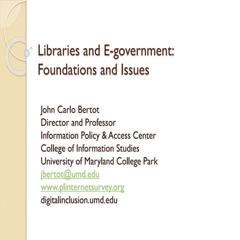 Libraries and E-government: Foundations and Issues