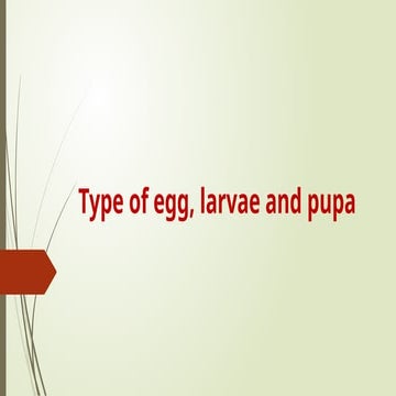 Immature stages of insects ;Types of egg, larvae and pupa