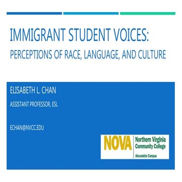 Immigrant student voices