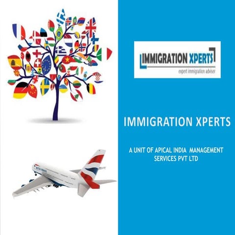 Single Window for Visas and Work Permits | PDF