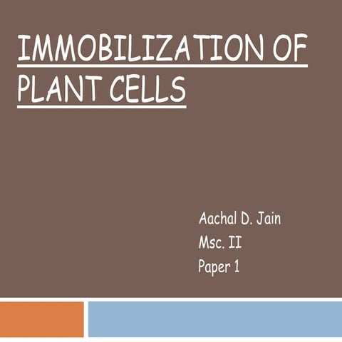 Immobilization of plant cells