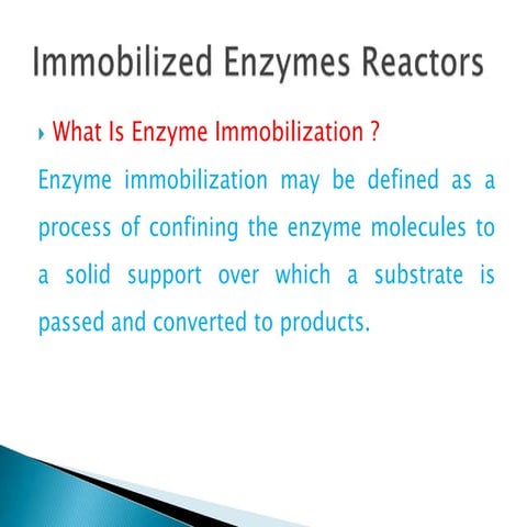 Immobilized enzymes reactors
