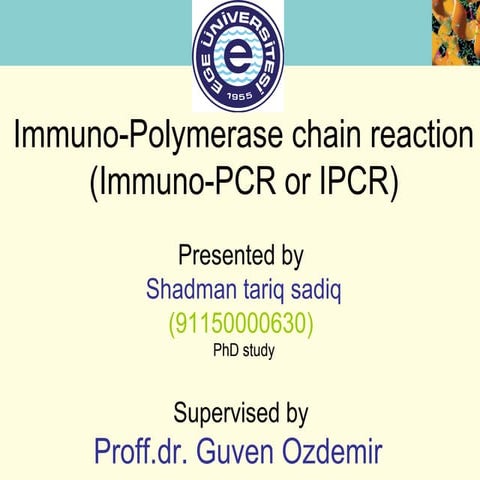 immuno pcr