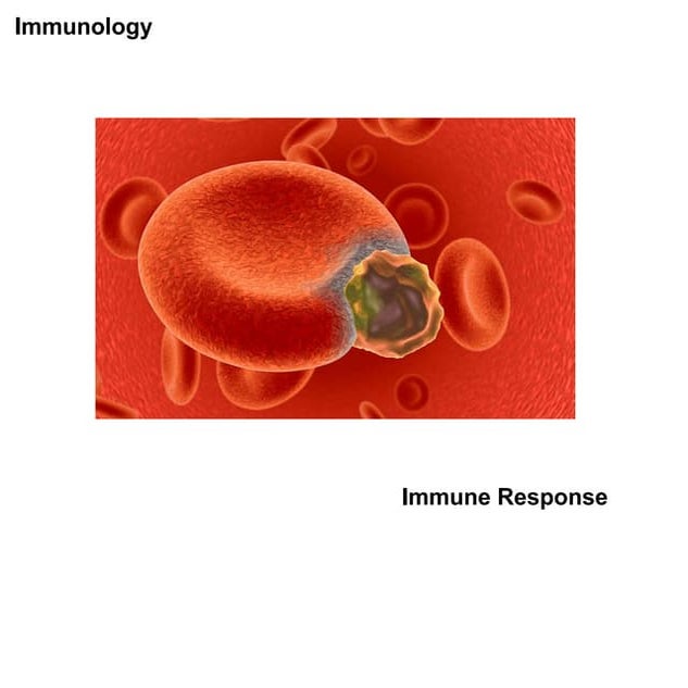Immune response2