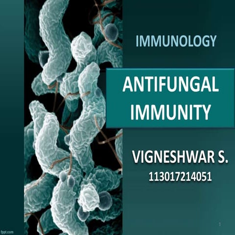 Immune response to fungal infection