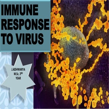 Immune response to virus 