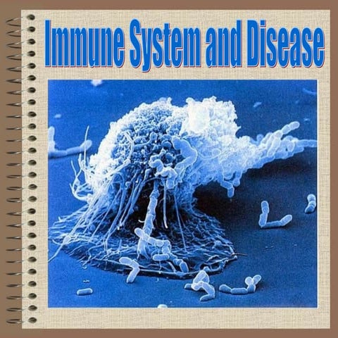 Immune system