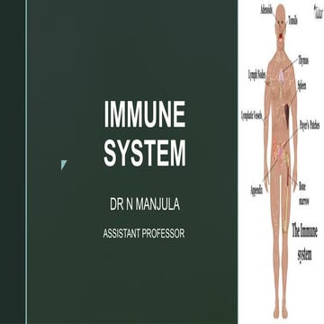 INTRODUCTION TO IMMUNE SYSTEM      .pptx