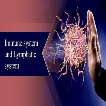 Comprehensive Overview of the Immune and Lymphatic Systems: Defense ...