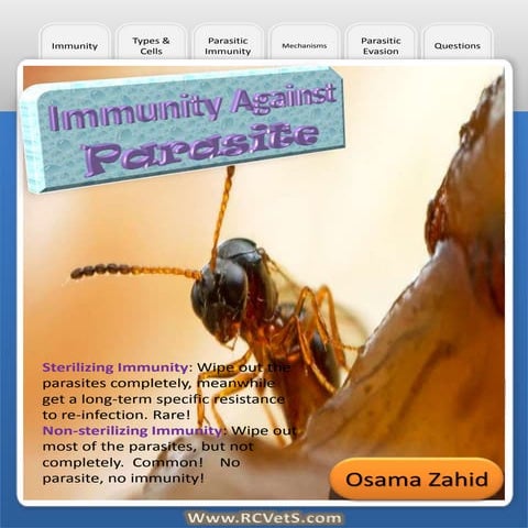 Immunity Against Parasite