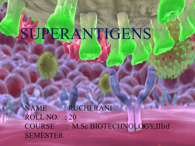 Superantigen