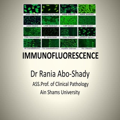 Immunofluorescence 130125142023-phpapp02