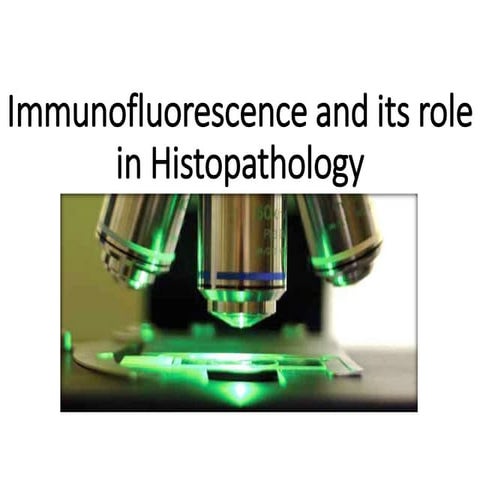 Immunofluorescence and its role in histopathology