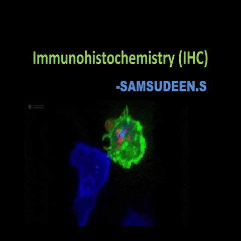 Immunohistochemistry  