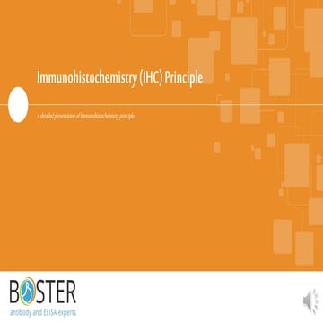 Immunohistochemistry (IHC) Principle