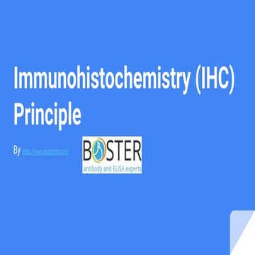 Immunohistochemistry principle