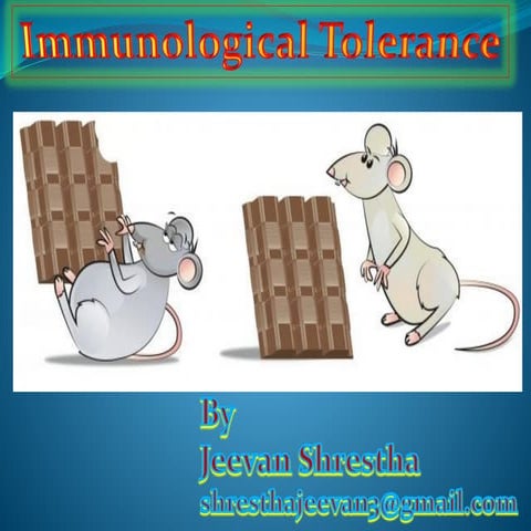 Immunological tolerance
