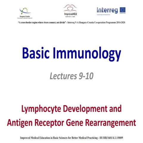 Basic Immunology 11-20