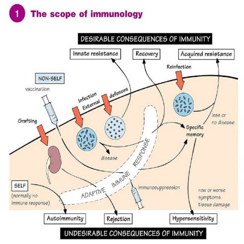 Immunology at a_glance_playfair_2013 | PDF