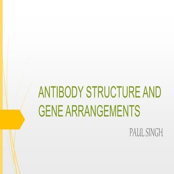 ANTIBODY STRUCTURE AD GENE REARRANGEMENTS