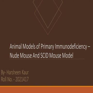 Comprehensive Overview of Nude and SCID Mouse Models in Primary ...