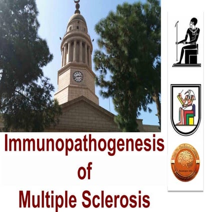 Immunopathogenesis of multiple sclerosis
