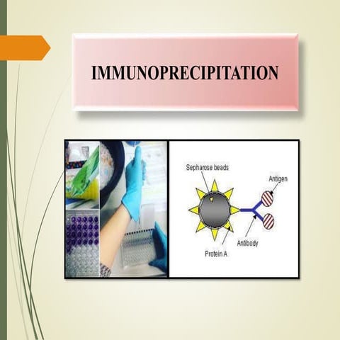 IMMUNOTECHNIQUES (immunoprecipitation)