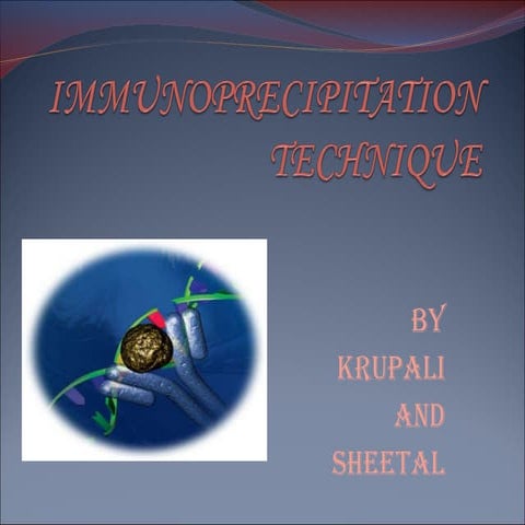 Immunoprecipitation