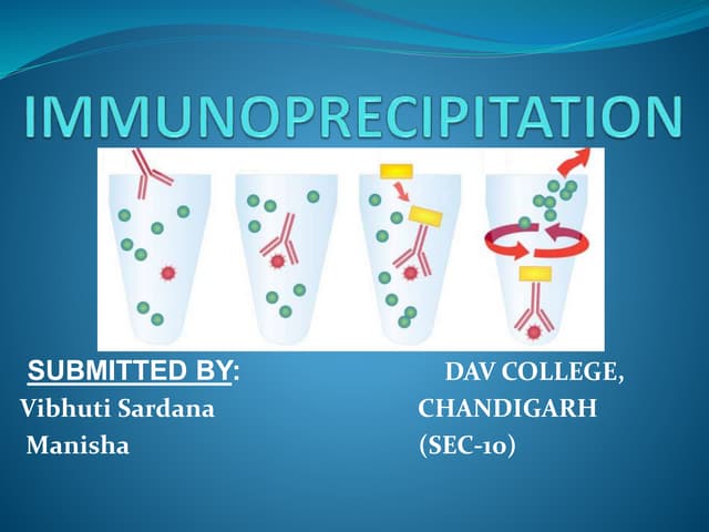 Immunoprecipitation Presentation