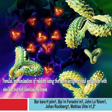 polyclonal antibodies