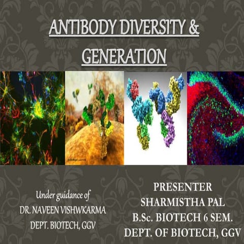 Generation of Antibody Diversity- Quick revision from Kuby through presentation