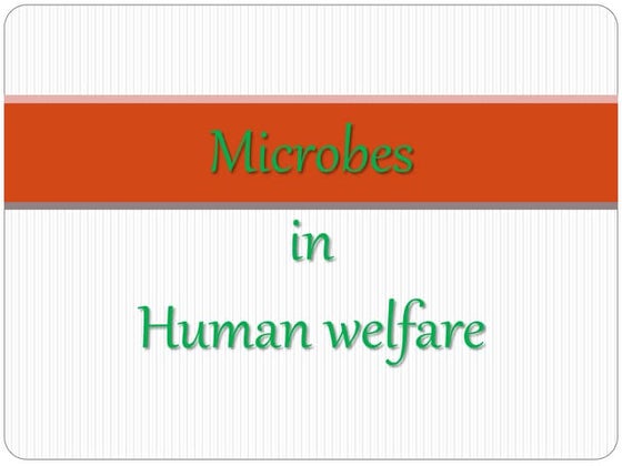 Microorganisms Class 8 | PPT