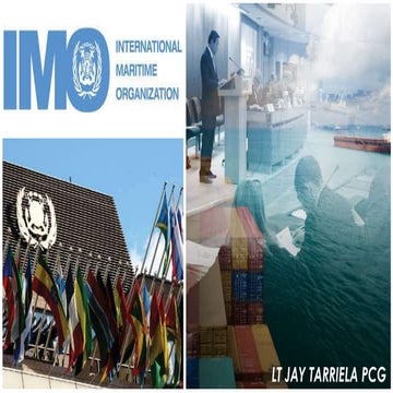 International Maritime Organization