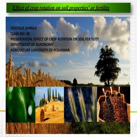 crop rotation by siddique ahmad university of agriculture peshawar