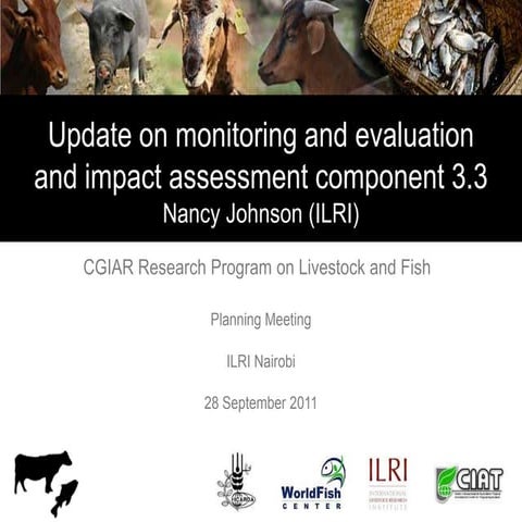 Update on monitoring and evaluation and impact assessment component 3.3